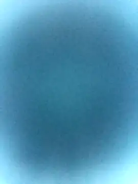 tabby-cat11 online show from February 19, 2026, 2:46 pm