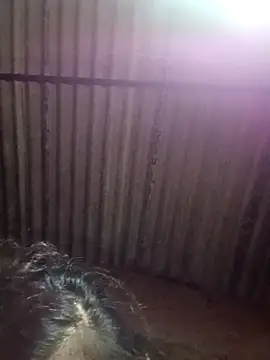 M-MAYA online show from December 2, 2025, 5:41 pm