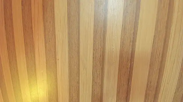 Snapshot of mia__blaze__ chatting on February 6, 2026, 3:00 am mia blaze online show from February 6, 2026, 3:00 am