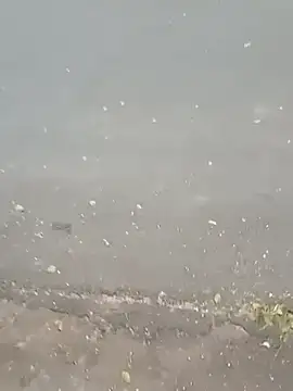 roludao fun online show from February 23, 2026, 9:34 pm