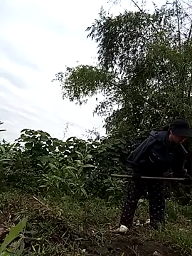 Chmdiemd online show from November 21, 2025, 12:43 am