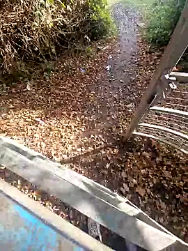 bbyxklaus online show from November 5, 2025, 10:26 am