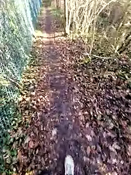 bbyxklaus online show from December 19, 2025, 12:34 pm