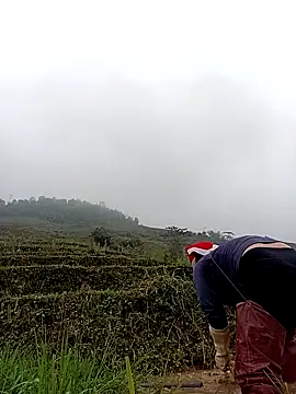 kokoto-59 online show from March 11, 2026, 1:33 am