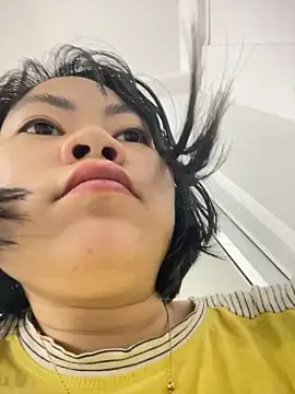 Deer nice online show from November 18, 2025, 11:14 am