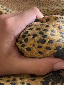 StrandedTrident online show from April 18, 2026, 10:19 am