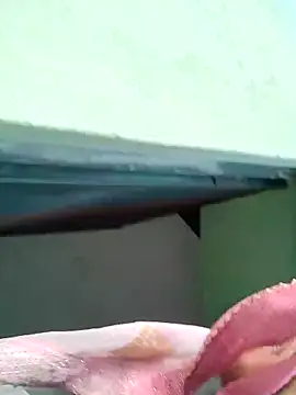 Bhumika Love online show from November 11, 2025, 11:21 am