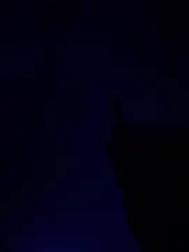 Snapshot of alfarabisami chatting on June 10, 2026, 9:03 pm alfarabisami online show from June 10, 2026, 9:03 pm