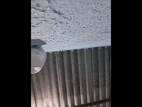 666Daemon666 online show from April 10, 2026, 8:08 am