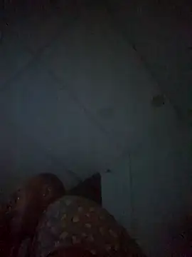 Snapshot of BulbasaurIsmettv chatting on November 12, 2025, 6:47 am BulbasaurIsmettv online show from November 12, 2025, 6:47 am