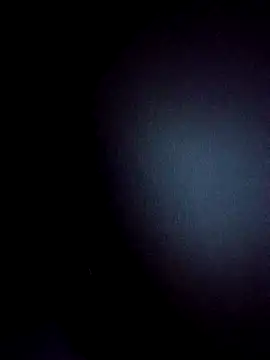 Snapshot of BulbasaurIsmettv chatting on December 2, 2025, 4:07 am BulbasaurIsmettv online show from December 2, 2025, 4:07 am