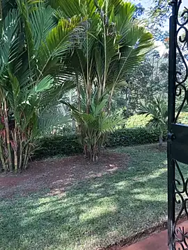 BubblesLovexox online show from April 4, 2026, 12:57 pm