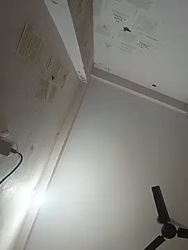 Snapshot of indoregigolo chatting on October 29, 2025, 3:03 pm indoregigolo online show from October 29, 2025, 3:03 pm