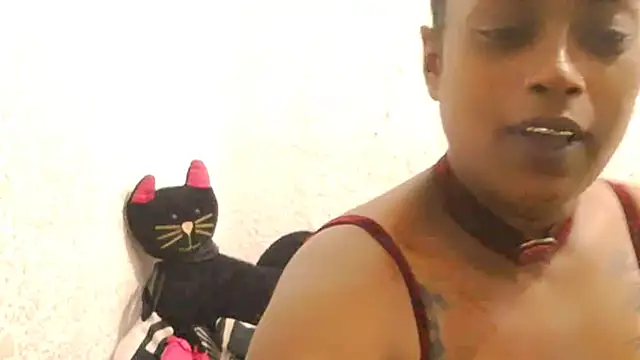 DOVE85 online show from December 15, 2025, 11:47 am