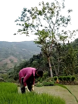 Noelle-e online show from April 11, 2026, 10:41 am