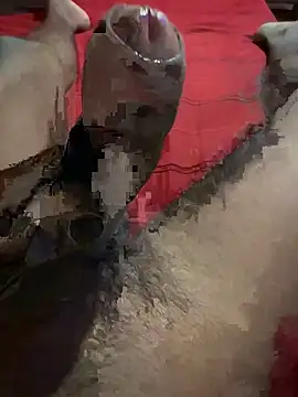 vijay20k online show from March 3, 2026, 8:15 pm