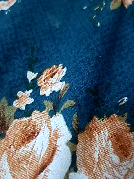 bigtelugubhama online show from February 17, 2026, 7:09 pm