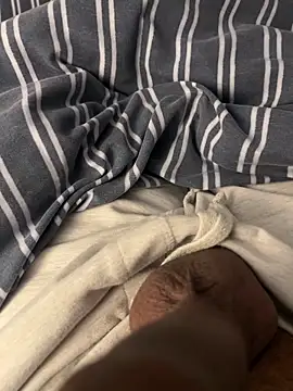 CurvyDicky8 online show from November 25, 2025, 1:05 am