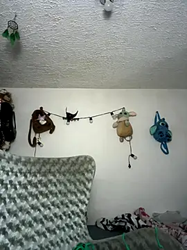 Snapshot of _haannaa chatting on November 18, 2025, 8:35 pm haannaa online show from November 18, 2025, 8:35 pm