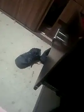 Yerackhip online show from January 17, 2026, 7:46 am