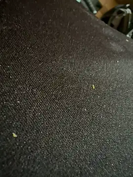 caramello-48888 online show from February 16, 2026, 6:15 pm