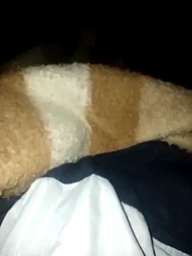 Azo3zgju online show from November 23, 2025, 2:33 am