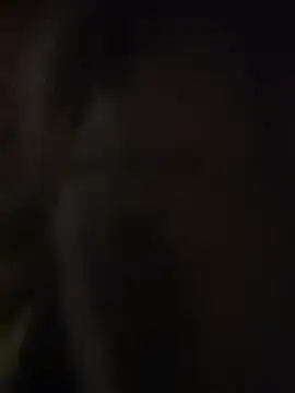 Snapshot of Hollywouldd chatting on December 4, 2025, 6:01 am Hollywouldd online show from December 4, 2025, 6:01 am