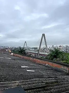 paulo527  online show from November 14, 2025, 12:15 pm