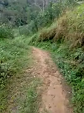 Cloud-wh online show from March 5, 2026, 12:39 am