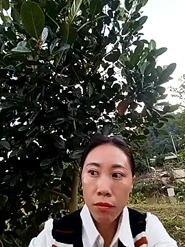 -Chua-90 online show from December 17, 2025, 10:32 am