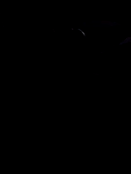 john12-931 online show from November 21, 2025, 6:56 am