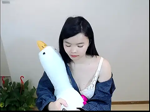 Snapshot of Shaurk chatting on February 1, 2026, 3:49 am Shaurk online show from February 1, 2026, 3:49 am