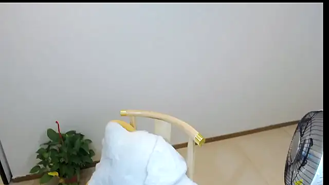 Snapshot of Shaurk chatting on February 23, 2026, 2:53 am Shaurk online show from February 23, 2026, 2:53 am