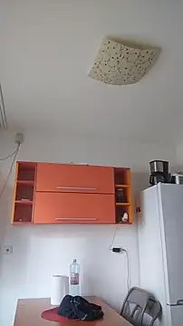 Dale E online show from January 28, 2025, 8:36 am