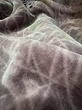 Snapshot of Afganiboy chatting on February 4, 2026, 1:50 pm Afganiboy online show from February 4, 2026, 1:50 pm