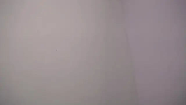 selene rouse  online show from November 14, 2025, 10:07 pm