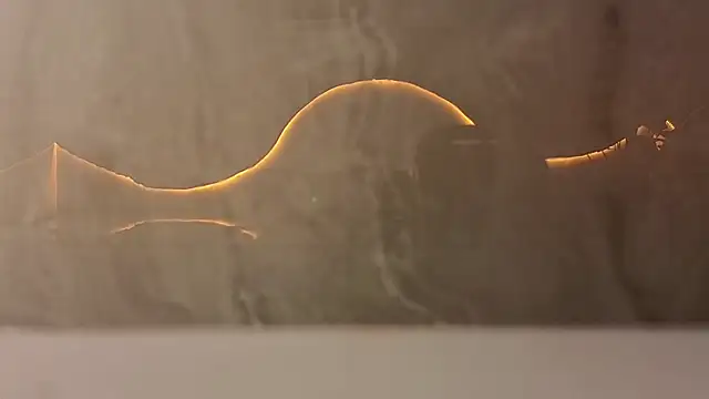 samy tp online show from December 5, 2025, 7:21 pm