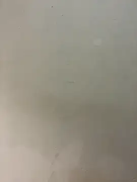 bigass256 online show from February 14, 2026, 5:04 am