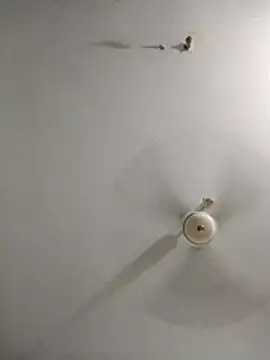 Snapshot of rupamim chatting on March 26, 2026, 9:09 pm rupamim online show from March 26, 2026, 9:09 pm