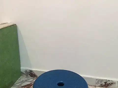 raveena hot online show from March 8, 2026, 1:26 pm