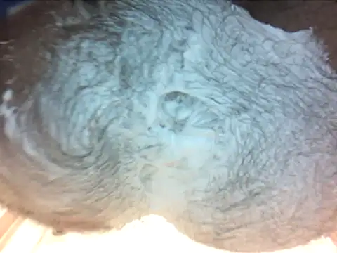 holy1996 online show from March 27, 2026, 6:40 pm