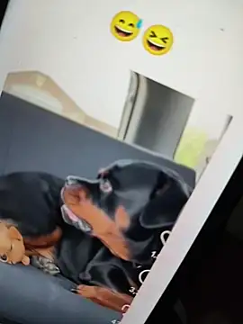 Sainicpl online show from December 5, 2025, 1:42 pm