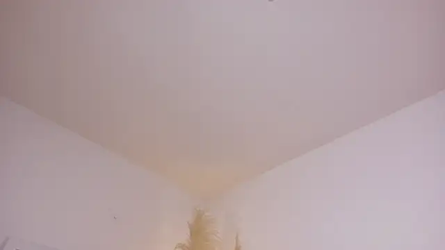 am berr online show from December 13, 2025, 7:53 pm