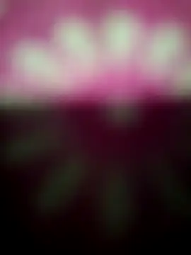 Nandani-758 online show from December 19, 2025, 12:17 am