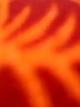 Nandani-758 online show from April 8, 2026, 11:21 am