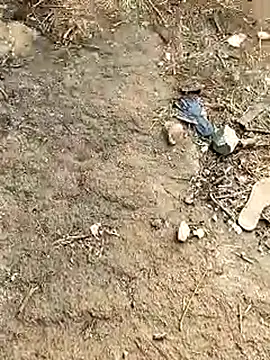 Snapshot of Meow_buggie chatting on January 13, 2026, 10:42 am Meow buggie online show from January 13, 2026, 10:42 am