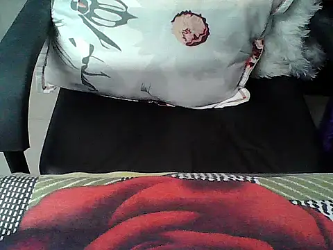 Snapshot of Bold_girl23 chatting on May 19, 2026, 6:14 pm Bold girl23 online show from May 19, 2026, 6:14 pm
