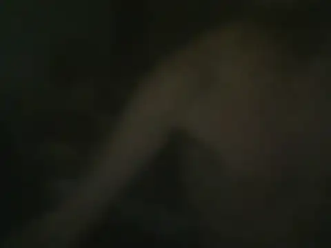 Vlasta23 online show from July 22, 2026, 10:01 pm