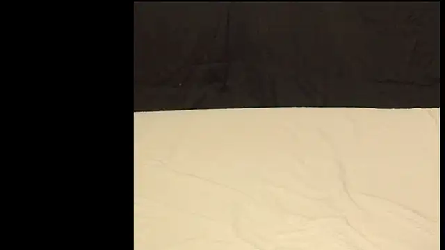 famous1tad online show from March 19, 2026, 1:04 pm