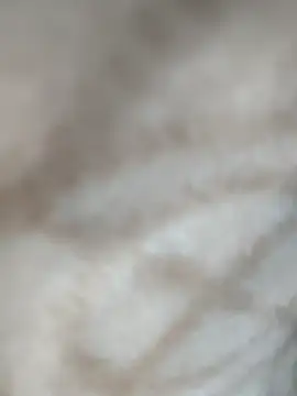 jiniya6789 online show from January 11, 2026, 2:00 pm